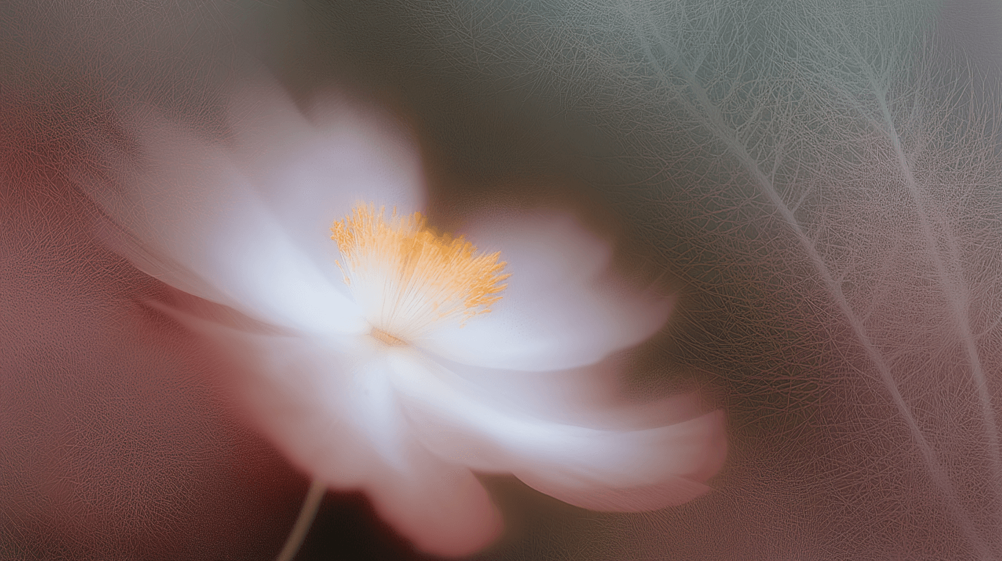 loop_on_a_very_delicate_flower_&ndash;ar_169_&ndash;profile_t3pjihz_&ndash;v_977f6fe1-43f0-48d4-bea0-57e668613aed_1.png